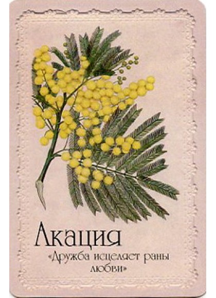 Оракул «Селам или Язык Цветов»